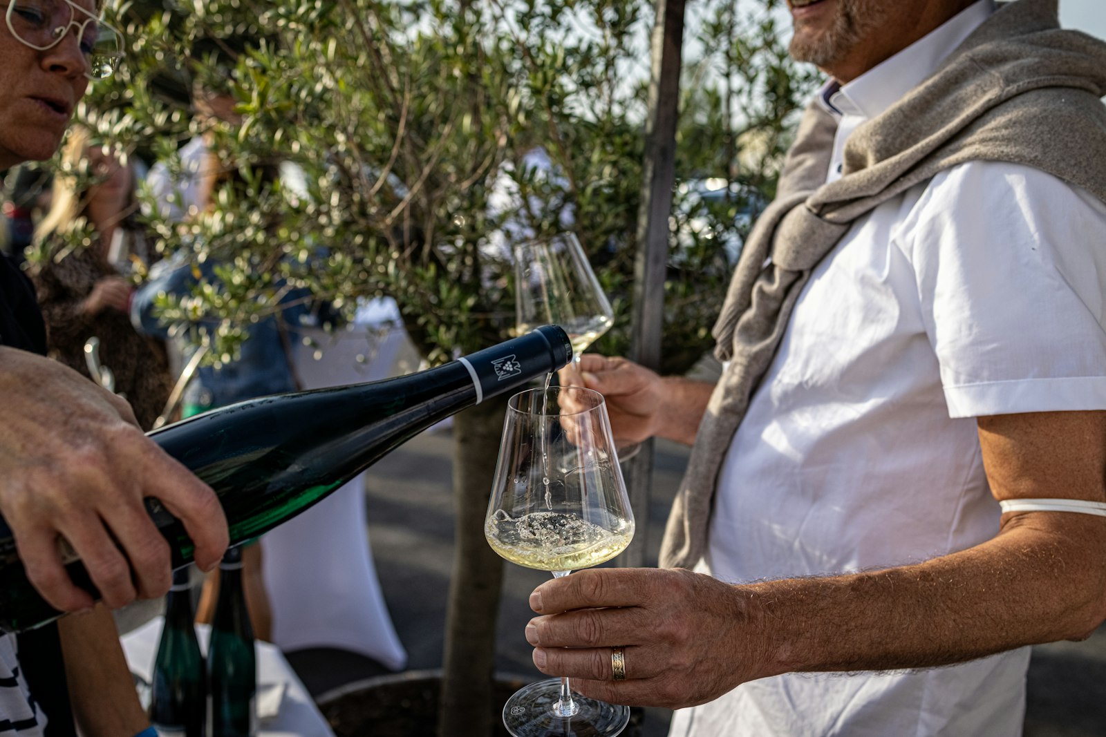 Aromas de Vendimia 2026: the harvest festival you need to experience in Guanajuato
